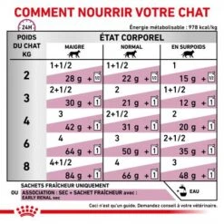 ROYAL CANIN Cat Early Renal Sachet Repas 16 ROYAL CANIN Cat Early Renal Sachet Repas -Certains Magasins De Fournitures Pour Chats cat early renal sachet repas 4