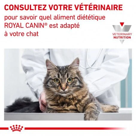 ROYAL CANIN Cat Gastro Intestinal Kitten Boîte 8 ROYAL CANIN Cat Gastro Intestinal Kitten Boîte – Image 6