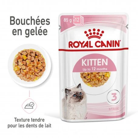 Cat Kitten Royal Canin Emincé En Gelée Sachet Repas 5 Cat Kitten Royal Canin Emincé En Gelée Sachet Repas – Image 3