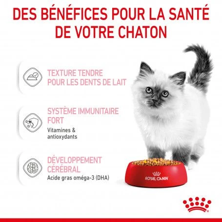 Cat Kitten Royal Canin Emincé En Gelée Sachet Repas 9 Cat Kitten Royal Canin Emincé En Gelée Sachet Repas – Image 7