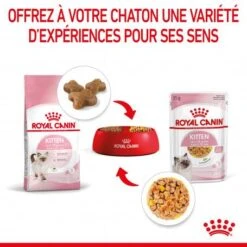 Cat Kitten Royal Canin Emincé En Gelée Sachet Repas 18 Cat Kitten Royal Canin Emincé En Gelée Sachet Repas -Certains Magasins De Fournitures Pour Chats cat kitten royal canin emince en gelee sachet repas 7