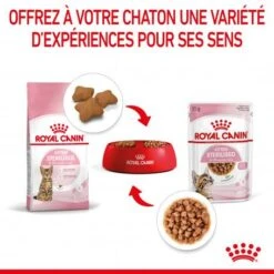 Cat Kitten Stérilisé Royal Canin Emincé En Sauce Sachet Repas -Certains Magasins De Fournitures Pour Chats cat kitten royal canin emince en sauce sachet repas 13