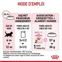 Cat Kitten Stérilisé Royal Canin Emincé En Sauce Sachet Repas -Certains Magasins De Fournitures Pour Chats cat kitten royal canin emince en sauce sachet repas 16
