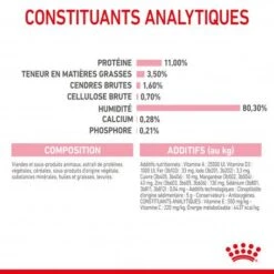 Cat Kitten Stérilisé Royal Canin Emincé En Sauce Sachet Repas -Certains Magasins De Fournitures Pour Chats cat kitten royal canin emince en sauce sachet repas 17