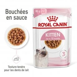 Cat Kitten Royal Canin Emincé En Sauce Sachet Repas -Certains Magasins De Fournitures Pour Chats cat kitten royal canin emince en sauce sachet repas 2