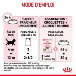 Cat Kitten Royal Canin Emincé En Sauce Sachet Repas -Certains Magasins De Fournitures Pour Chats cat kitten royal canin emince en sauce sachet repas 3