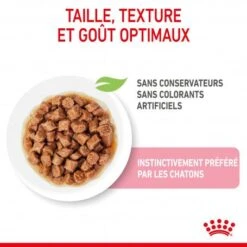 Cat Kitten Royal Canin Emincé En Sauce Sachet Repas -Certains Magasins De Fournitures Pour Chats cat kitten royal canin emince en sauce sachet repas 5