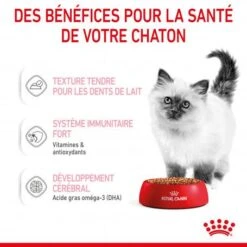 Cat Kitten Royal Canin Emincé En Sauce Sachet Repas -Certains Magasins De Fournitures Pour Chats cat kitten royal canin emince en sauce sachet repas 6