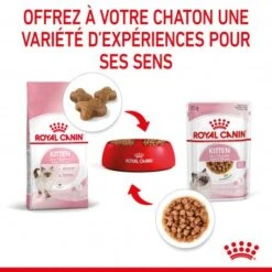 Cat Kitten Royal Canin Emincé En Sauce Sachet Repas -Certains Magasins De Fournitures Pour Chats cat kitten royal canin emince en sauce sachet repas 7