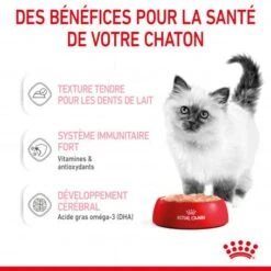 Cat Kitten Royal Canin Mousse Sachet Repas -Certains Magasins De Fournitures Pour Chats cat kitten royal canin mousse sachet repas 6