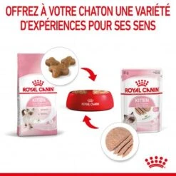Cat Kitten Royal Canin Mousse Sachet Repas -Certains Magasins De Fournitures Pour Chats cat kitten royal canin mousse sachet repas 7