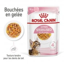 Cat Kitten Sterilised Royal Canin Emincé En Gelée Sachet Repas -Certains Magasins De Fournitures Pour Chats cat kitten sterilised royal canin eminen gelee sachet repas 2