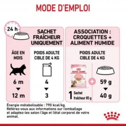 Cat Kitten Sterilised Royal Canin Emincé En Gelée Sachet Repas -Certains Magasins De Fournitures Pour Chats cat kitten sterilised royal canin eminen gelee sachet repas 4