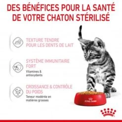 Cat Kitten Sterilised Royal Canin Emincé En Gelée Sachet Repas -Certains Magasins De Fournitures Pour Chats cat kitten sterilised royal canin eminen gelee sachet repas 6