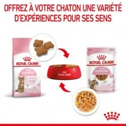 Cat Kitten Sterilised Royal Canin Emincé En Gelée Sachet Repas -Certains Magasins De Fournitures Pour Chats cat kitten sterilised royal canin eminen gelee sachet repas 7