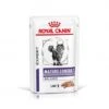 ROYAL CANIN Cat Mature Consult Balance Mousse Sachet Repas -Certains Magasins De Fournitures Pour Chats cat mature consult balance mousse sachet repas