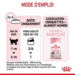 ROYAL CANIN Cat Mother & Babycat Boîte -Certains Magasins De Fournitures Pour Chats cat mother babycat boite 1