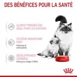 ROYAL CANIN Cat Mother & Babycat Boîte -Certains Magasins De Fournitures Pour Chats cat mother babycat boite 3