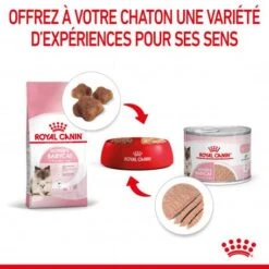 ROYAL CANIN Cat Mother & Babycat Boîte -Certains Magasins De Fournitures Pour Chats cat mother babycat boite 4