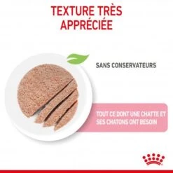 ROYAL CANIN Cat Mother & Babycat Boîte -Certains Magasins De Fournitures Pour Chats cat mother babycat boite 5