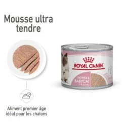 ROYAL CANIN Cat Mother & Babycat Boîte -Certains Magasins De Fournitures Pour Chats cat mother babycat boite 6