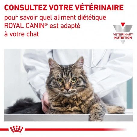 ROYAL CANIN Cat Renal Poulet Mousse Sachet Repas 9 ROYAL CANIN Cat Renal Poulet Mousse Sachet Repas – Image 7