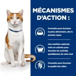Chat On-Care Mijotés Poulet Boîte 15 Chat On-Care Mijotés Poulet Boîte -Certains Magasins De Fournitures Pour Chats chat on care mijotes poulet boite 5