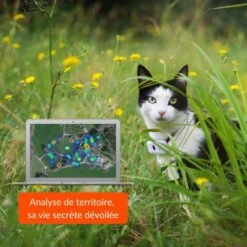 Materiel Collier GPS Weenect Cats 2 Pour Chat -Certains Magasins De Fournitures Pour Chats collier gps weenect cats 2 pour chat 4