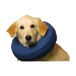 Materiel Collier Lune -Certains Magasins De Fournitures Pour Chats collier lune 1