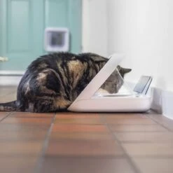 Materiel Distributeur Automatique De Nourriture SureFeed Connect -Certains Magasins De Fournitures Pour Chats distributeur automatique de nourriture surefeed connect 5