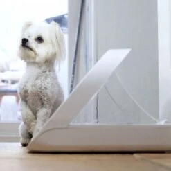 Materiel Distributeur Automatique De Nourriture SureFeed Connect -Certains Magasins De Fournitures Pour Chats distributeur automatique de nourriture surefeed connect 6