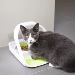 Materiel Distributeur Automatique De Nourriture SureFeed Connect -Certains Magasins De Fournitures Pour Chats distributeur automatique de nourriture surefeed connect 7