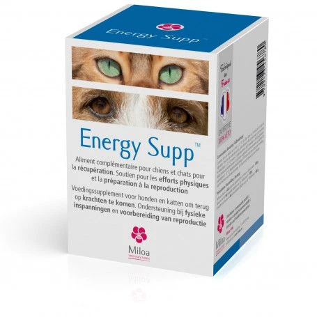 Energy Supp 3 Energy Supp