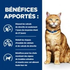 C/D Urinary Multicare Boîte émincé Pour Chat Poulet 13 C/D Urinary Multicare Boîte émincé Pour Chat Poulet -Certains Magasins De Fournitures Pour Chats feline c d multicare boite emince 3