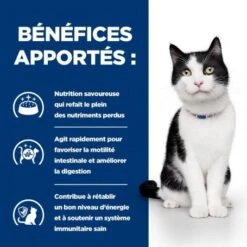 I/d Digestive Boîte Pour Chat Et Chaton Poulet -Certains Magasins De Fournitures Pour Chats feline i d digestive care activ biome boite 3