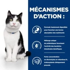 I/d Digestive Boîte Pour Chat Et Chaton Poulet -Certains Magasins De Fournitures Pour Chats feline i d digestive care activ biome boite 4