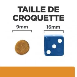 K/D Kidney Croquettes Pour Chat Au Poulet -Certains Magasins De Fournitures Pour Chats feline k d 4