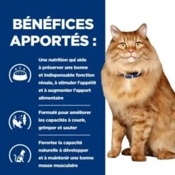 K/D J/D Kidney+Mobility Sachet Repas Pour Chat Poulet -Certains Magasins De Fournitures Pour Chats feline k d mobility poulet sachet repas 3