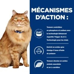 K/D J/D Kidney+Mobility Sachet Repas Pour Chat Poulet -Certains Magasins De Fournitures Pour Chats feline k d mobility poulet sachet repas 4