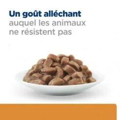 K/D Kidney Sachet Repas Pour Chat Saumon 16 K/D Kidney Sachet Repas Pour Chat Saumon -Certains Magasins De Fournitures Pour Chats feline k d sachet repas saumon 5