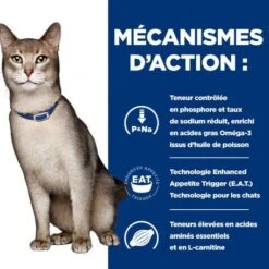 K/D Kidney Croquettes Pour Chat Au Thon 13 K/D Kidney Croquettes Pour Chat Au Thon -Certains Magasins De Fournitures Pour Chats feline k d thon 3