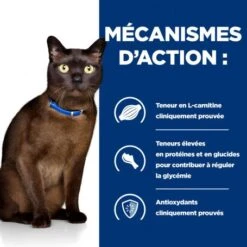 M/d Diabetes Croquettes Pour Chat Au Poulet 12 M/d Diabetes Croquettes Pour Chat Au Poulet -Certains Magasins De Fournitures Pour Chats feline m d 3
