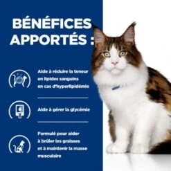 W/D Multi Benefit Croquettes Pour Chat Au Poulet -Certains Magasins De Fournitures Pour Chats feline w d 3