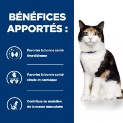Y/d Thyroid Boîte Pour Chat -Certains Magasins De Fournitures Pour Chats feline y d boite 3
