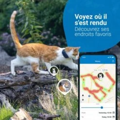 Materiel GPS Tractive Cat 4 Pour Chat 11 Materiel GPS Tractive Cat 4 Pour Chat -Certains Magasins De Fournitures Pour Chats gps tractive cat 4 pour chat 2