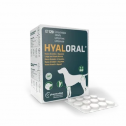 Hyaloral Grandes Et Très Grandes Races