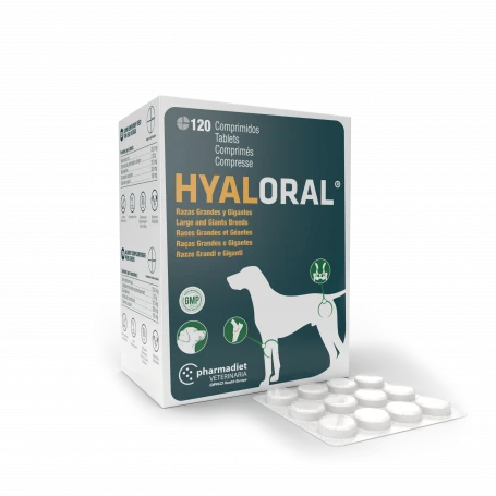 Hyaloral Grandes Et Très Grandes Races 3 Hyaloral Grandes Et Très Grandes Races