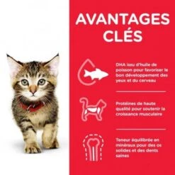 Kitten Pack Mixte Sachet Repas 9 Kitten Pack Mixte Sachet Repas -Certains Magasins De Fournitures Pour Chats kitten pack mixte sachet repas 3