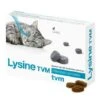 Lysine TVM 1 Lysine TVM -Certains Magasins De Fournitures Pour Chats lysine tvm