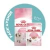 Pack'Avenue Royal Canin CAT KITTEN 10KG Avec Mousse En Sachet Repas 2 Pack'Avenue Royal Canin CAT KITTEN 10KG Avec Mousse En Sachet Repas -Certains Magasins De Fournitures Pour Chats pack croquettes chatons Kitten Royal Canin